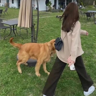 查利